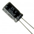 C100UF25VE