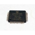 PIC24FJ256GA106-I/PT