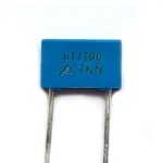 C100NF100V EPCOS
