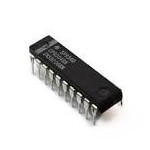 DP8304BN