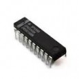 DP8304BN