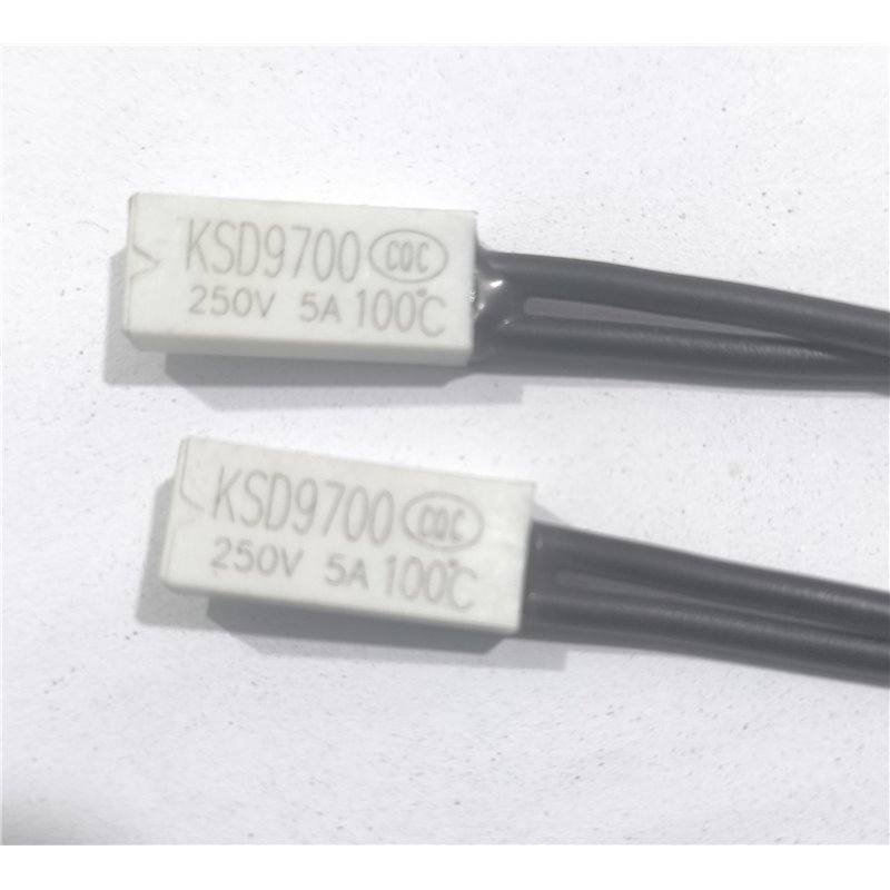 TERMO 100NC  ( سرامیکی سیم دار)  