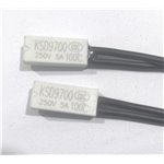 TERMO 100NC  ( سرامیکی سیم دار)  