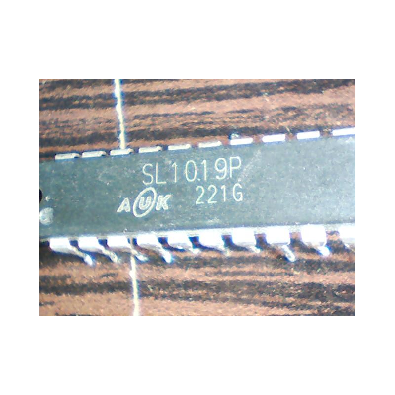 SL1019P    AUK