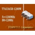 TT63365B