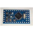 ARDUINO Pro Mini-5v