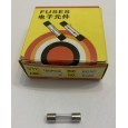 فیوز شیشه ای کوچک 10A250V (5x20mm)